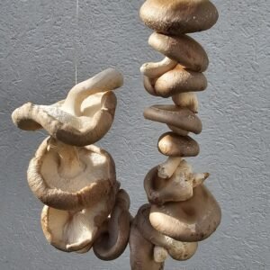 dried shiitake mushrooms