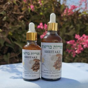 תמצית פטריית שיטאקי Lentinus edodes