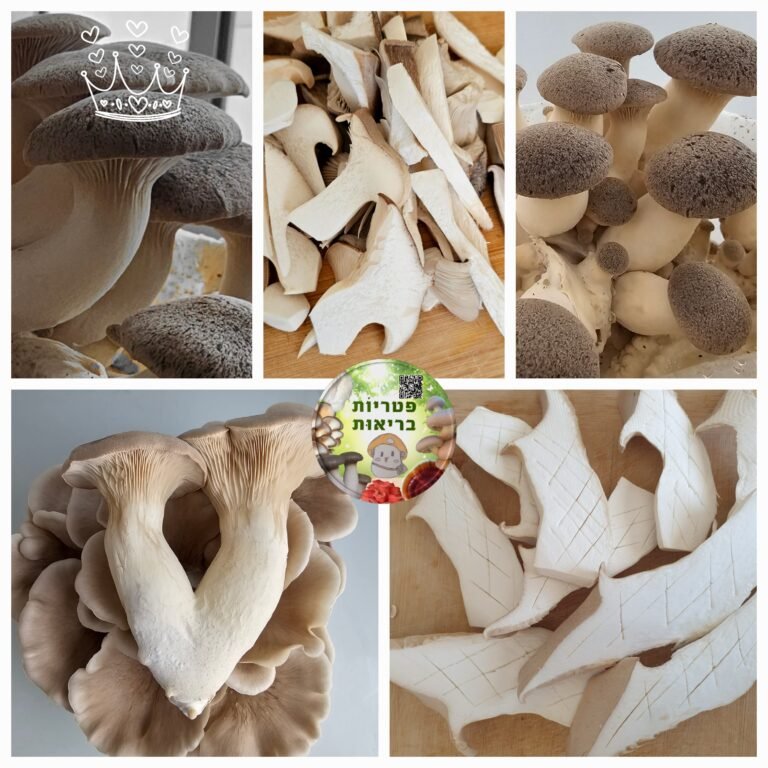 פטריות מלך היער מקרוב חתוכות ומוכנות להכנת ארוחה