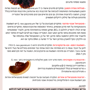 סיכום מאמר מדעי על פטריית ריישי
