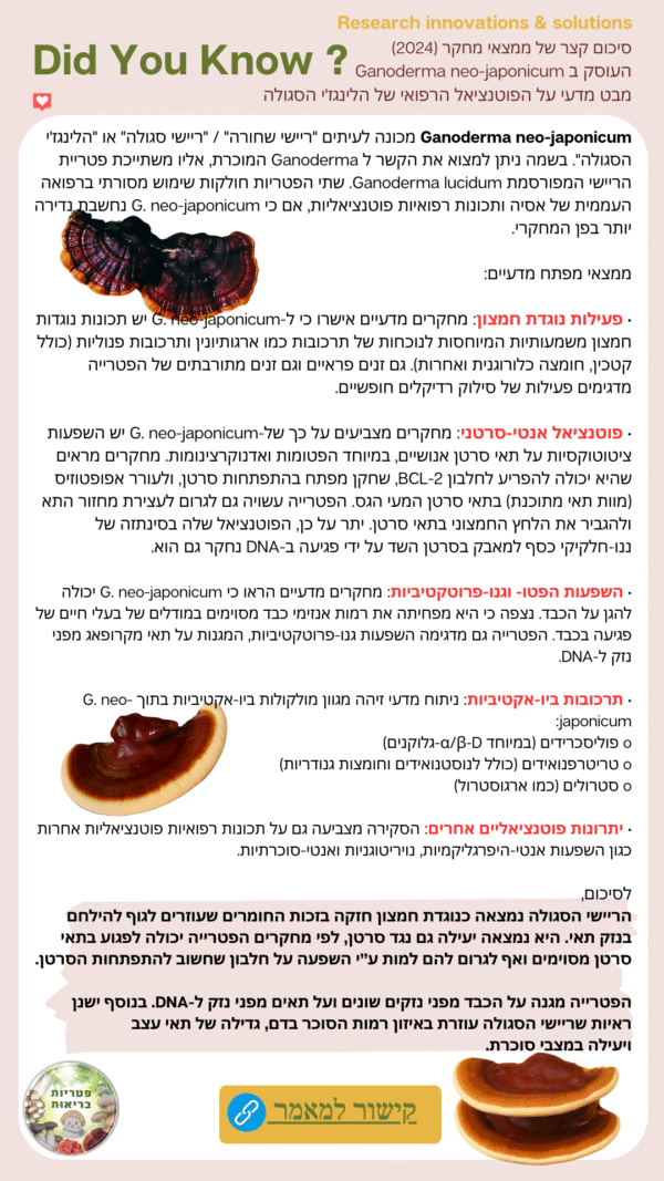 סיכום מאמר מדעי על פטריית ריישי