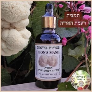 פטריות מרפא רעמת האריה Lions Mane תמצית לזיכרון ופוקוס