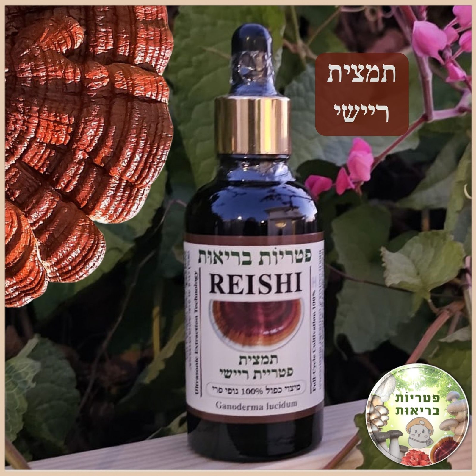 פטריות מרפא ריישי Reishi תמצית לאיזון ושינה טובה