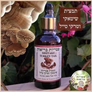 פטריות מרפא שיטאקי וטרקי טייל זנב הודו Turkey Tail
